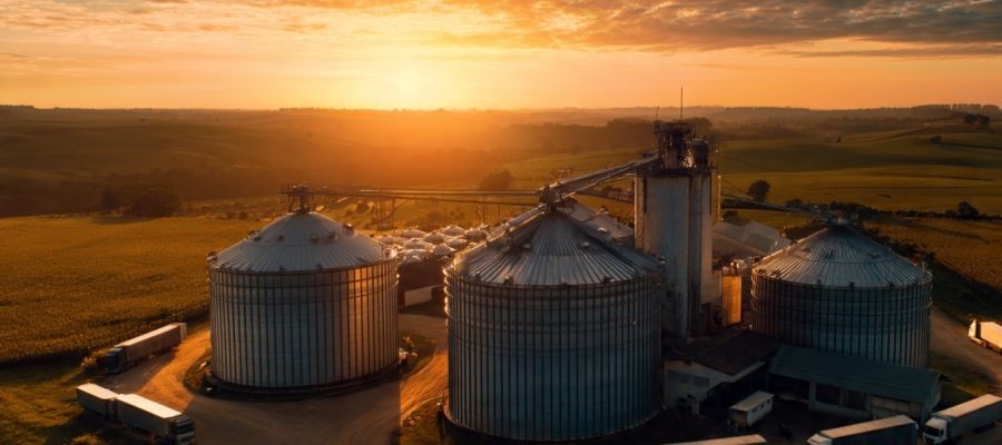 Logística no agronegócio: Os gargalos que estão consumindo sua rentabilidade sem você perceber
