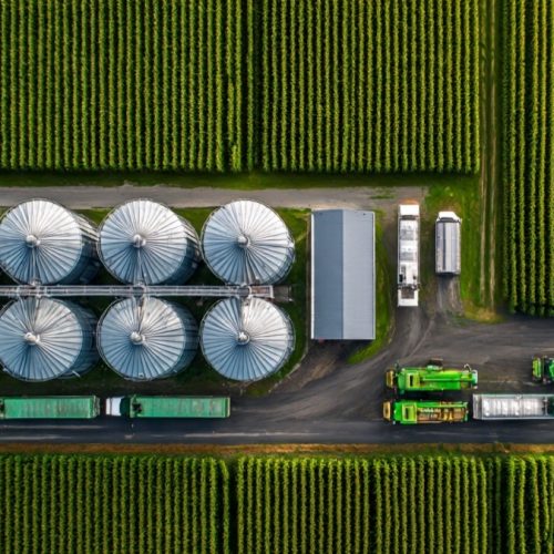 Agricultura tradicional ou gestão sistêmica: O que dá mais lucro?