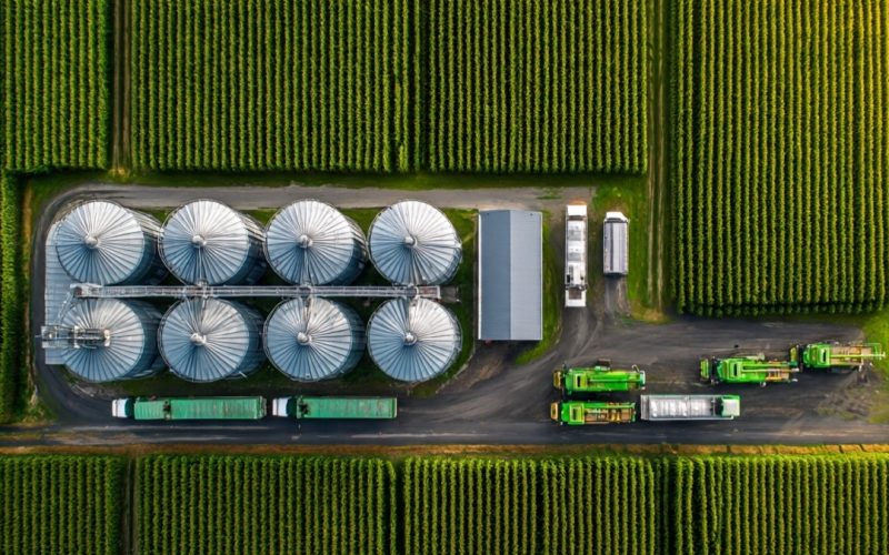 Agricultura tradicional ou gestão sistêmica: O que dá mais lucro?
