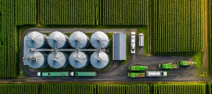 Agricultura tradicional ou gestão sistêmica: O que dá mais lucro?