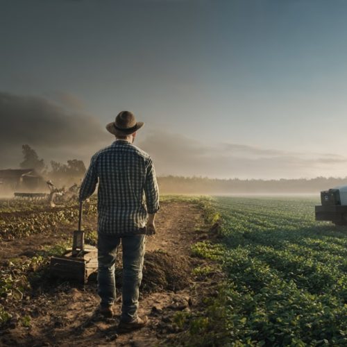 As 5 revoluções do agro que multiplicaram a rentabilidade