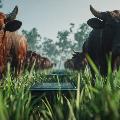 O Segredo do Lucro na Pecuária: Como Produzir Menos e Ganhar Mais de Forma Sustentável