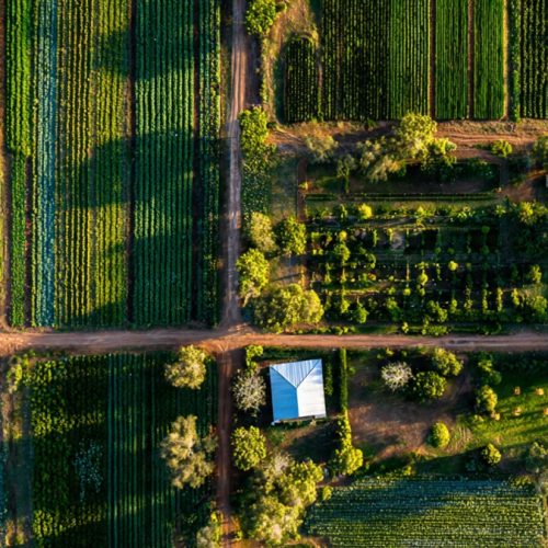 COE e COT no Agronegócio: O Fator Decisivo para a Sustentabilidade Financeira da Fazenda