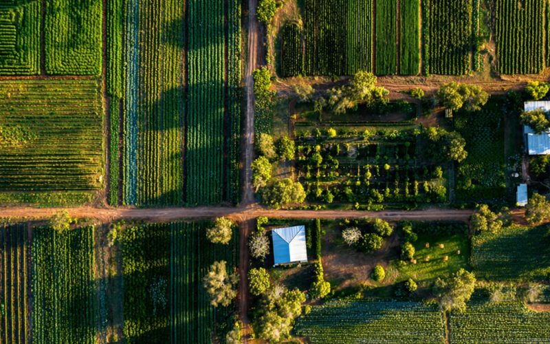COE e COT no Agronegócio: O Fator Decisivo para a Sustentabilidade Financeira da Fazenda