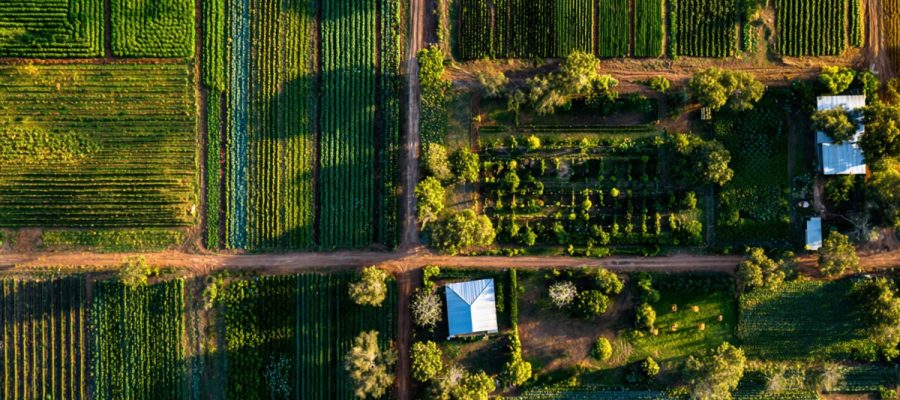 COE e COT no Agronegócio: O Fator Decisivo para a Sustentabilidade Financeira da Fazenda