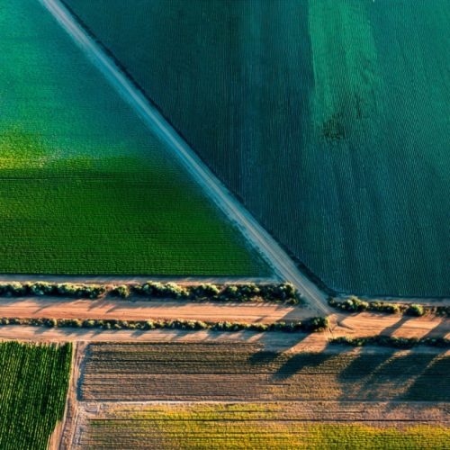 Análise Marginal no Agronegócio: Como Tomar Decisões Mais Lucrativas e Evitar Desperdícios