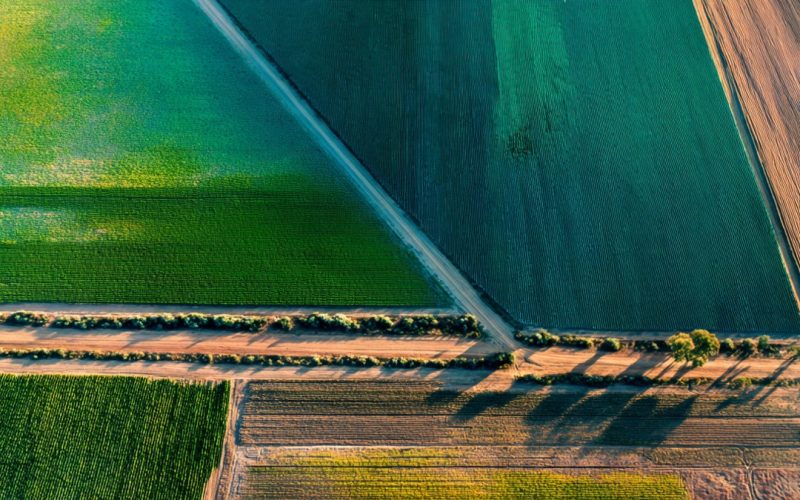 Análise Marginal no Agronegócio: Como Tomar Decisões Mais Lucrativas e Evitar Desperdícios