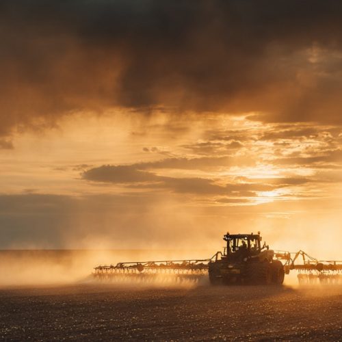 Janela de Plantio: Onde o Lucro Começa ou Termina
